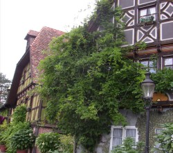 Heide-Dorf