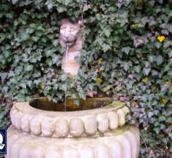 Brunnen