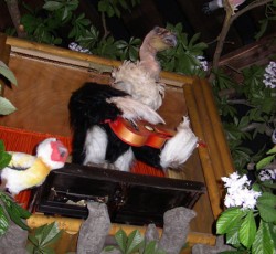 Elektronisches Vogeltheater