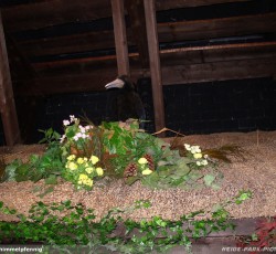 Elektronisches Vogeltheater