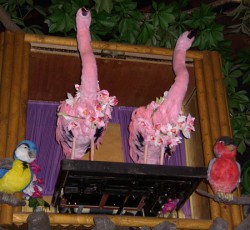 Elektronisches Vogeltheater