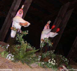 Elektronisches Vogeltheater