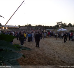 Tropical Brasil Party