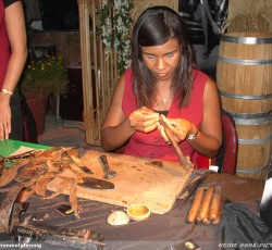 Tropical Brasil Party