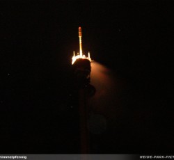 Tropical Brasil Party