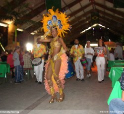 Tropical Brasil Party