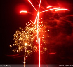 Tropical Brasil Party