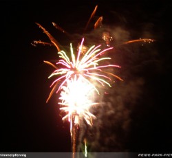 Tropical Brasil Party