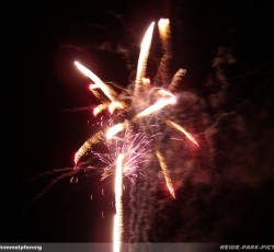 Tropical Brasil Party