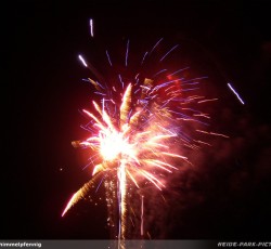 Tropical Brasil Party