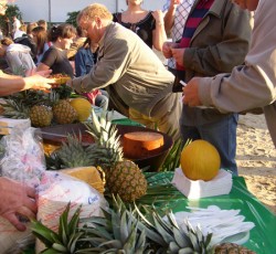 Tropical Brasil Party