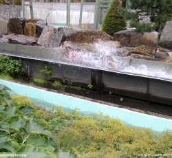 Wildwasserbahn II