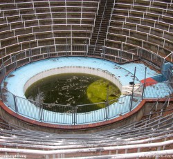 Ehemalige Alligatorenarena