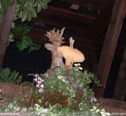 Elektronisches Vogeltheater