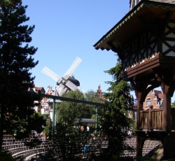 Seelöwen- und Papageishow