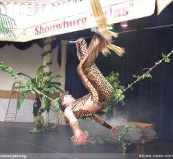 Dschungel Show