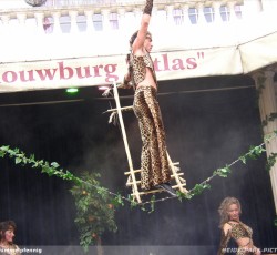 Dschungel Show