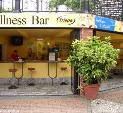Wellness Bar