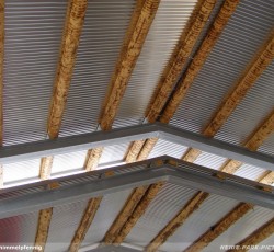 Desert Race Eröffnung