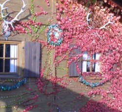 Mountain Rafting Thematisierung