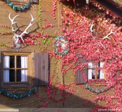 Mountain Rafting Thematisierung