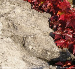 Mountain Rafting Thematisierung