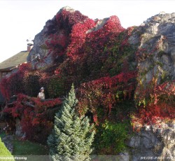 Mountain Rafting Theming