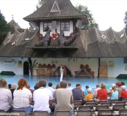 Seelöwenshow