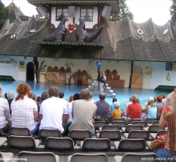 Seelöwenshow