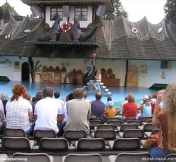 Seelöwenshow