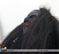 Der Zorn der Maya Götter