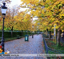 Bunte Herbstfarben