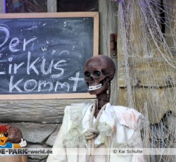 Das Gold von Port Royal - Derniere