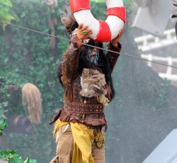 Der Zorn der Maya Götter