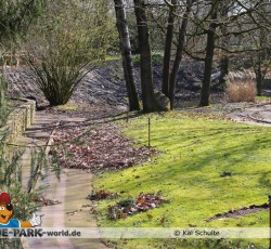 Ehemalige Monza Fläche