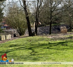 Ehemalige Monza Fläche