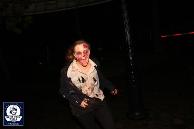 Scarezone Im Dunklen Wald