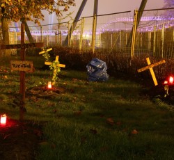 Scarezone Im Dunklen Wald