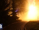 Scarezone Im Dunklen Wald