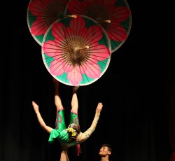 Showproben: Piraten Cabaret