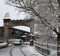 Portal Transsilvanien