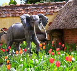 Holländischer Stadtteil