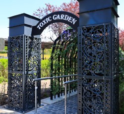Toxic Garden