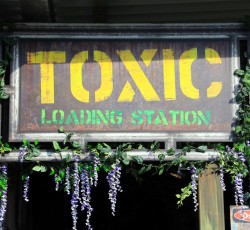 Toxic Garden