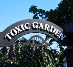 Toxic Garden