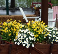 Ostern 