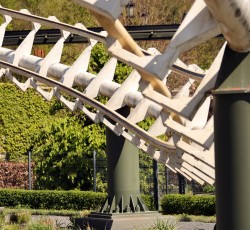 Big Loop