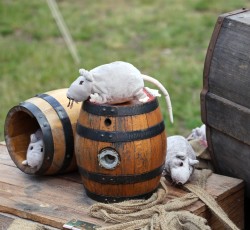 Piratenfest 