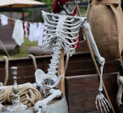Piratenfest 