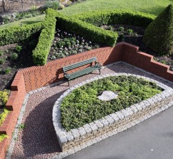 Beet 